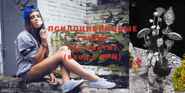 шишки Абакан