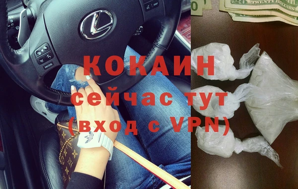 дживик Лагань