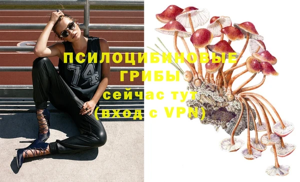 а пвп мука Лабытнанги