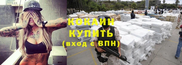 дживик Лагань
