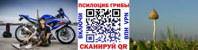 Галлюциногенные грибы Psilocybe  Мещовск 
